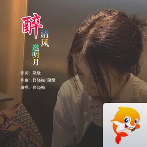 梅兰竹菊