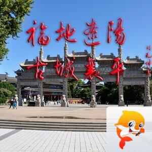 芷语💃艾米团队