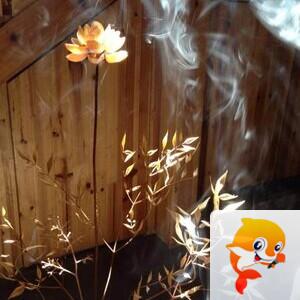 曾经🎤V娱热点