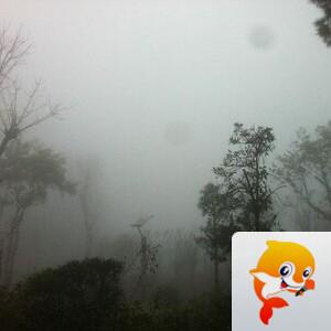 曾经🎤V娱热点