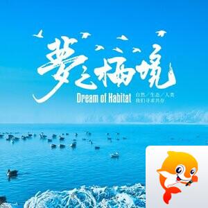 大洲🌞