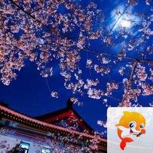 曾经🎤V娱热点