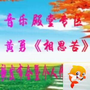 杜影🎤V娱热点