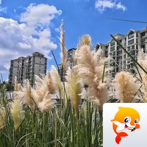 袁元【美摄视界】
