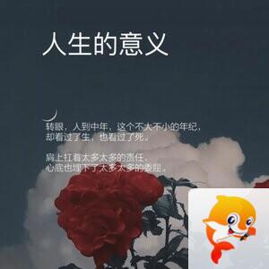 飘雪🎤V娱热点