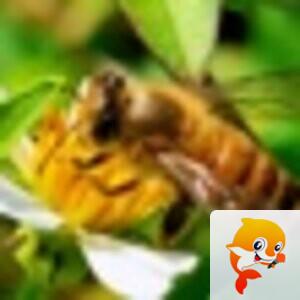 🎸BY💫双影恋🌺