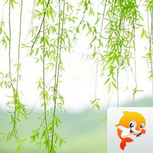 曾经🎤V娱热点