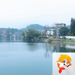 雨后阳光【情暖天涯】