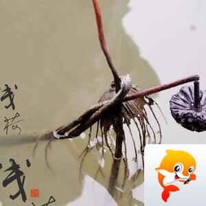 玩遍中国