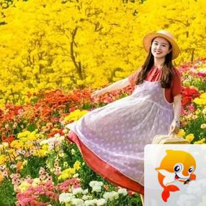 小浅🎤V娱热点