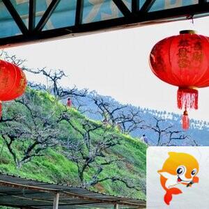 广州劳工【情暖天涯】