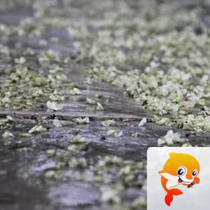 曾经🎤V娱热点