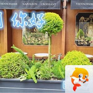 雪儿🎤V娱热点