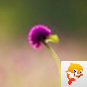 阳光☀️【美摄视界】