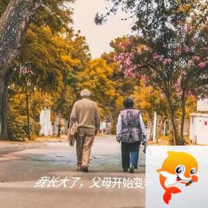 雪儿🎤V娱热点