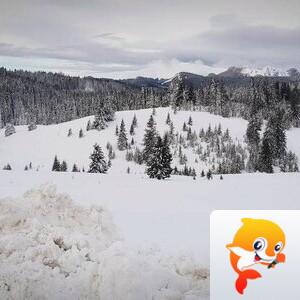 曾经🎤V娱热点