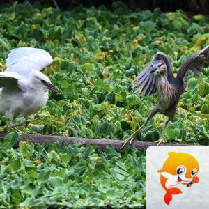 游侠拍客【美摄视界】