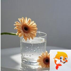 雪儿🎤V娱热点