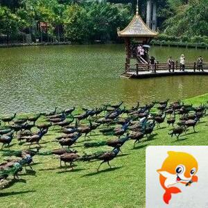 雪儿🎤V娱热点