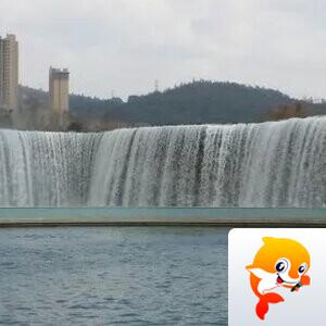 幽兰一箭香(赵放岚)