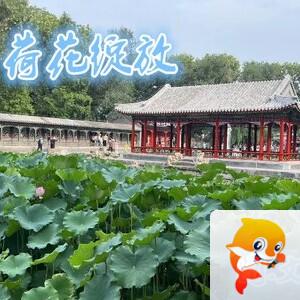 雪儿🎤V娱热点