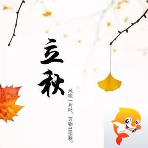云胡不喜【情暖天涯】 