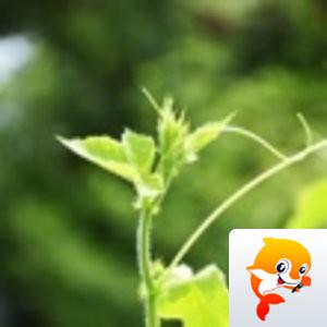 Man 【美摄视界】