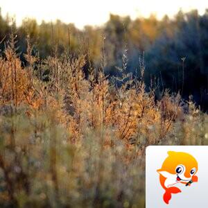 一空万有【美摄视界】