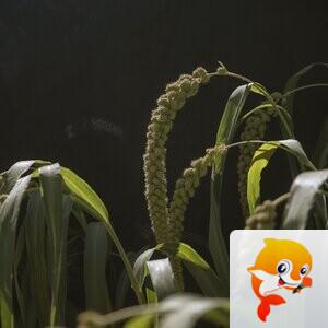 孙富明【美摄视界】