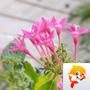 知白守黑【美摄视界】
