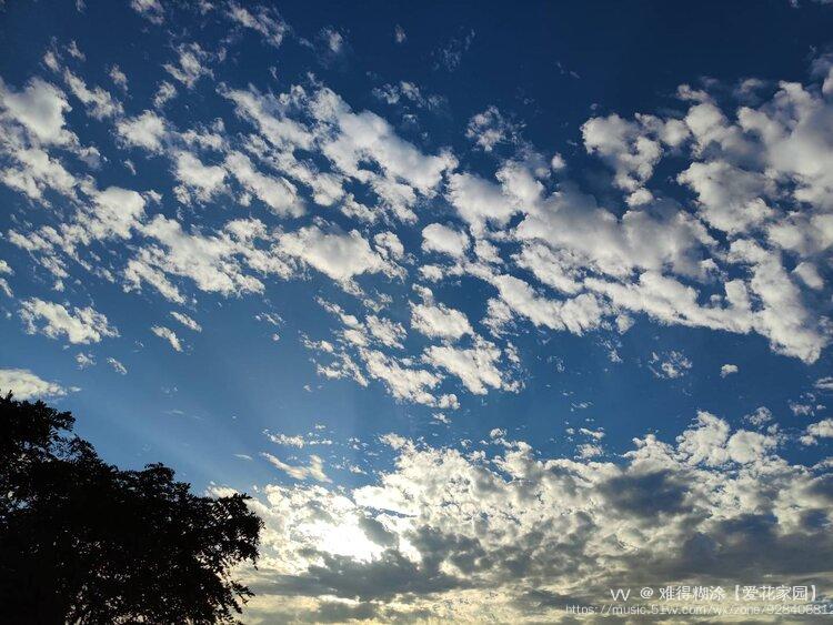 手机拍摄,难得糊涂雨后天空云似棉,晚霞照射彩云天,霞云蓝天景色美