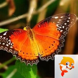 曾经🎤V娱热点