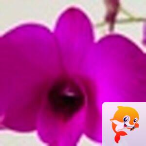 星聚㸃🎆雄姿英发