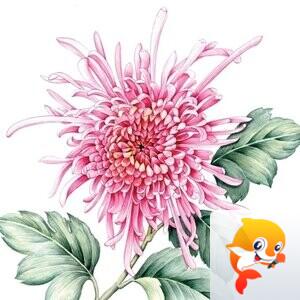 菩提心