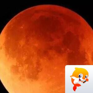 幽兰一箭香(赵放岚)