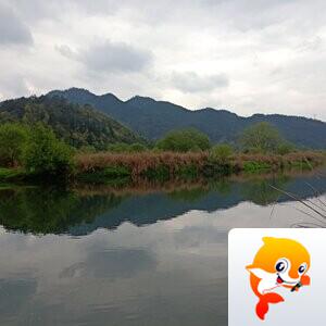 繁花似锦【美摄视界】