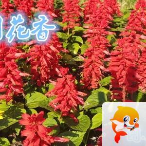 雪儿🎤V娱热点