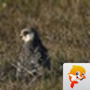 云中山人【美摄视界】