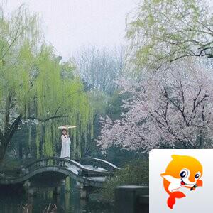 小雨【文声汇影】