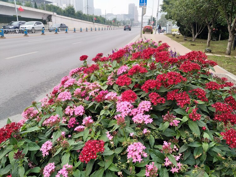 儿子翟家骏和法学院院长申卫星,导师陈新宇,同学寥莹,杨同宇合写的