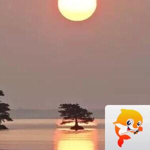 朱老师（雅韵文轩）