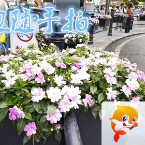 雪儿🎤V娱热点