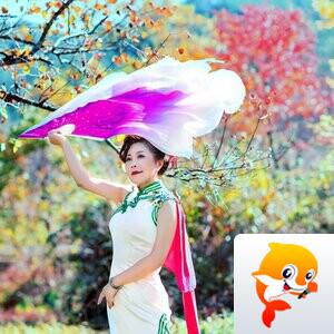 一帘幽梦【美摄视界】