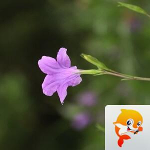 美美🍃【美摄视界】