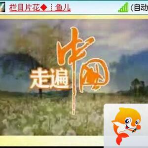 执白🎤V娱热点