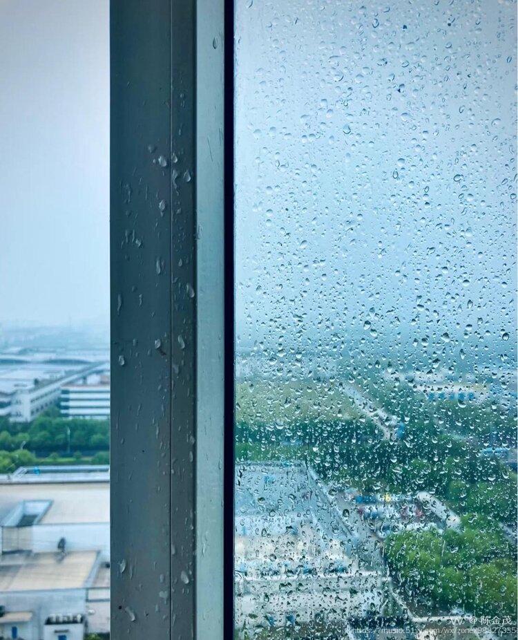 陈金茂｜看图写诗（49）谢 幕（三首）【冰心文化传媒】（图4）