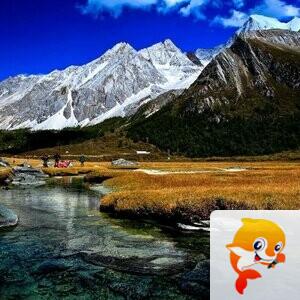 蓝鸟在飞【西部诗坛】族长