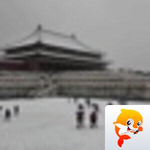 知白守黑【美摄视界】