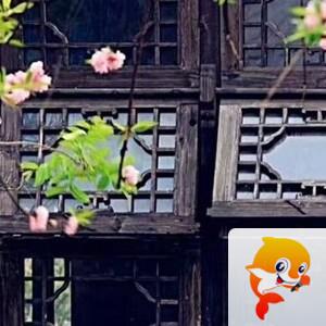 曾经🎤V娱热点