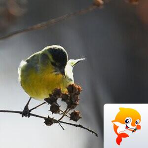 永善【美攝视界】 